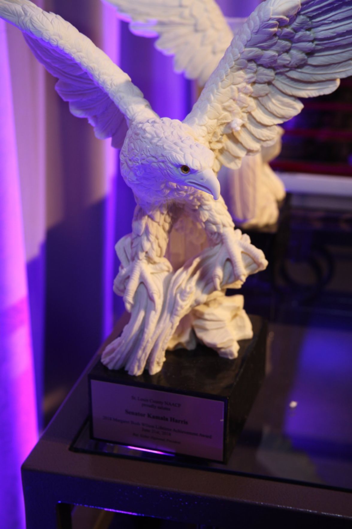 062118NAACPFreedomDinner_20.JPG
